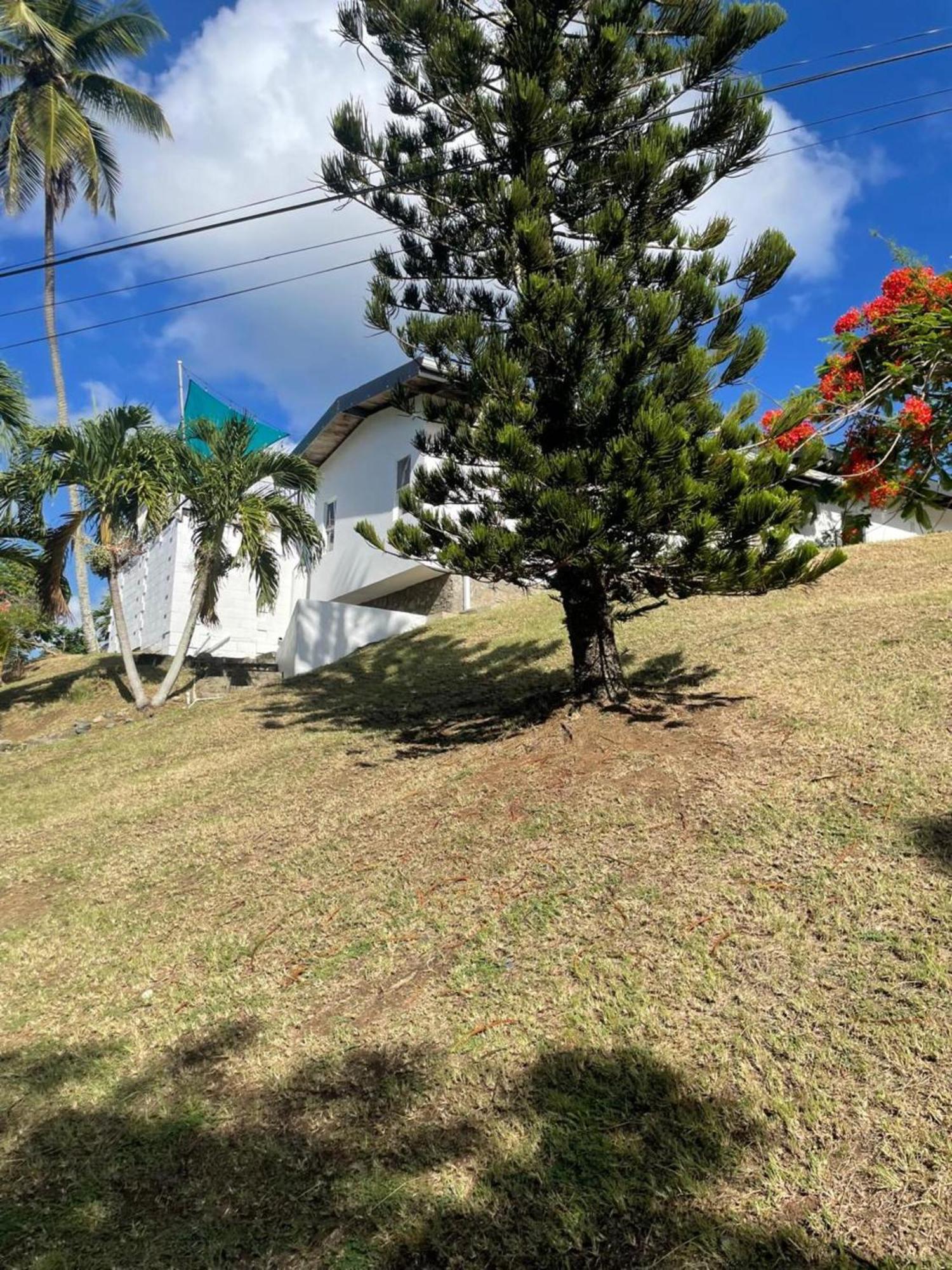 Villa Dava Tobago Exterior foto